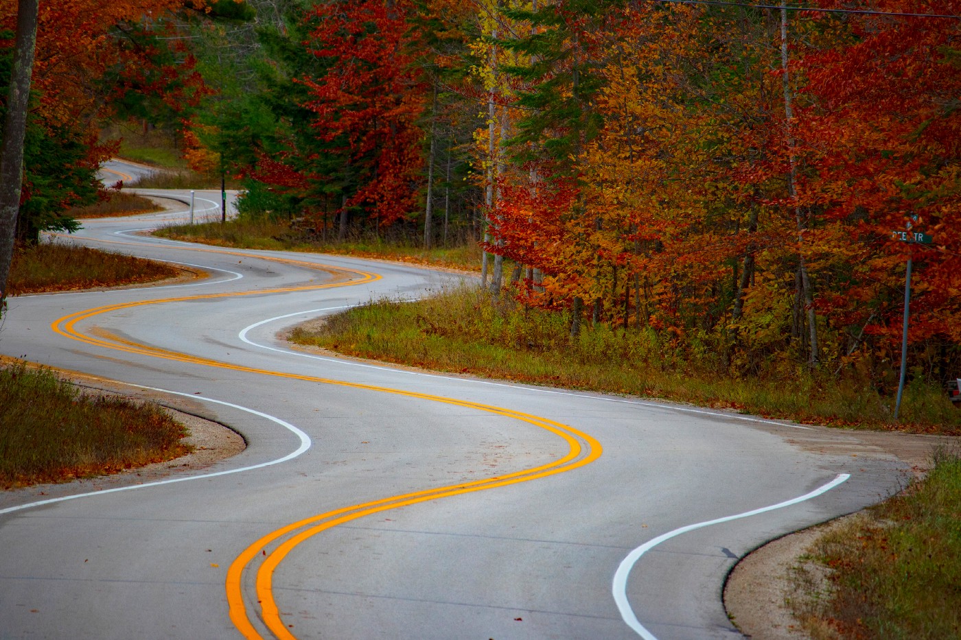 winding two land road in a fall forest zig zagging into the distance