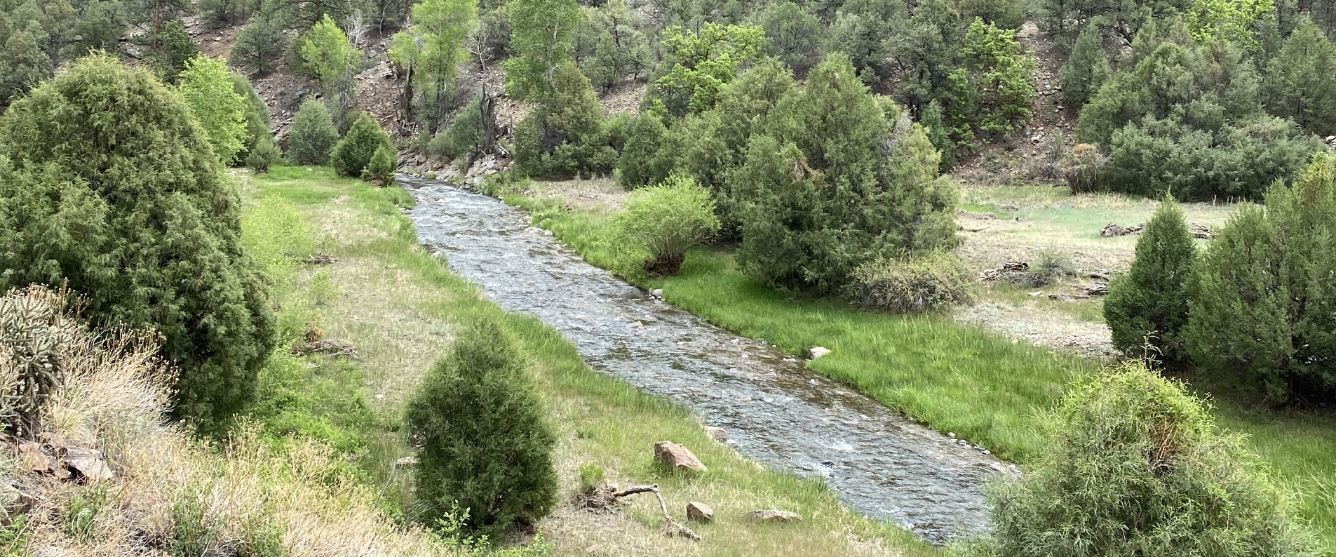 a small stream running through a narrow green forested mountain valley