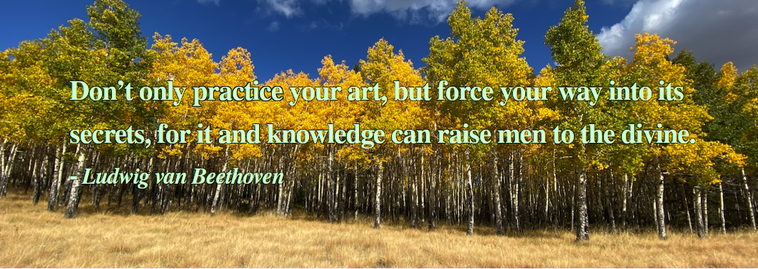 the quote from Shakespeare, "Don't only practice your art, but force your way into its secrets, for it and knowledge can raise men to the divine", against a background of aspen trees and blue sky
